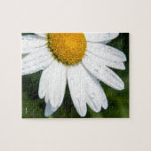 foto, een margriet, groene achtergrond legpuzzel (Horizontaal)