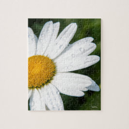 foto, een margriet, groene achtergrond legpuzzel
