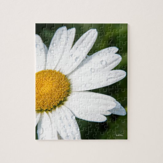 foto, een margriet, groene achtergrond legpuzzel (Verticaal)