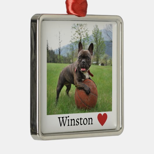 Foto en naam Franse Bulldog Metalen Ornament (Rechts)
