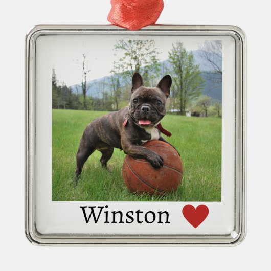 Foto en naam Franse Bulldog Metalen Ornament (Voorkant)