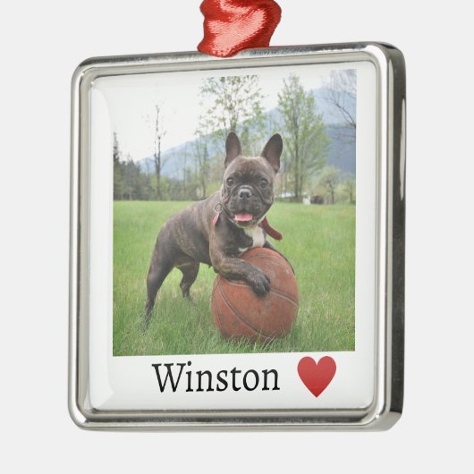 Foto en naam Franse Bulldog Metalen Ornament (Links)