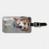 Foto en naam van het huisdier, contactgegevens bagagelabel (Voorkant horizontaal)