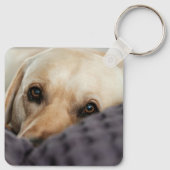 Foto en naam van het huisdier gepersonaliseerd sleutelhanger (Achterkant)