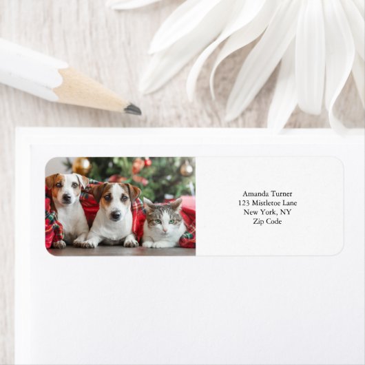 Foto Etiket (Insitu)