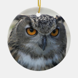 Foto Eurasian Eagle Owl Keramisch Ornament