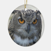 Foto Eurasian Eagle Owl Keramisch Ornament (Links)