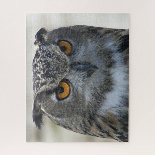 Foto Eurasian Eagle Owl Legpuzzel (Verticaal)