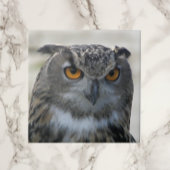 Foto Eurasian Eagle Owl Tegeltje