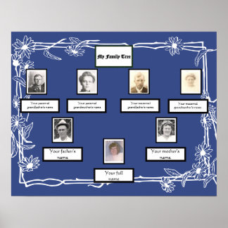 Foto Family Tree Daisy Art Border op Blauw Poster