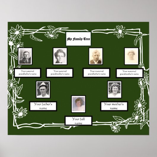 Foto Family Tree Daisy Art Border op Groen Poster (Voorkant)