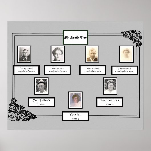 Foto Family Tree Roos Tekening Rand op grijs Poster (Voorkant)
