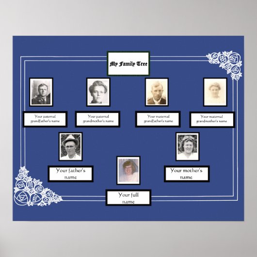 Foto Family Tree Roos Tekenrand op blauw Poster (Voorkant)