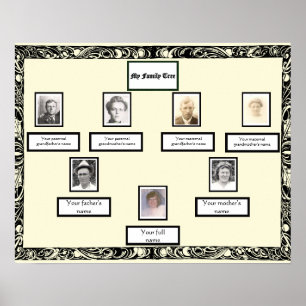 Foto Family Tree  wervelrand op crème Poster