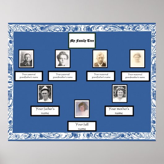Foto Family Tree White Swirled Border op blauw Poster (Voorkant)