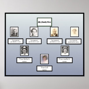 Foto Family Tree Zwarte Rand op Blauwe Verloop Poster