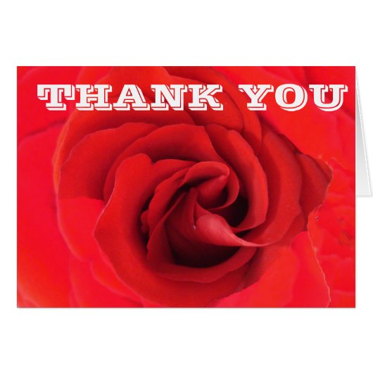 Foto Floral van Red Rose Flower Close-up (Voorkant Horizontaal)