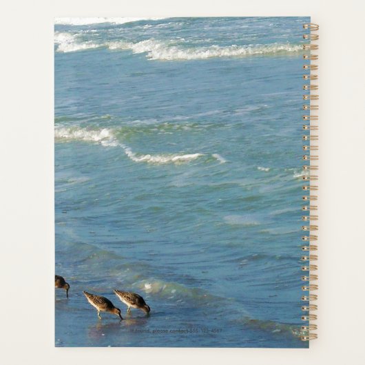 Foto Florida Shorebirds Ocean Maandelijks en wekel Planner (Achterkant)
