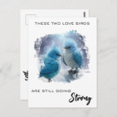 *~* FOTO  Fluffy Love Birds AP54 Verjaardag Briefkaart (Voorkant / Achterkant)