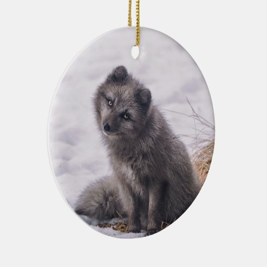 Foto Fox Gray Snow Keramisch Ornament (Rechts)