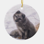 Foto Fox Gray Snow Keramisch Ornament (Voorkant)