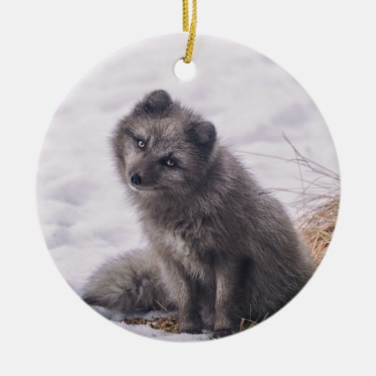 Foto Fox Gray Snow Keramisch Ornament (Voorkant)