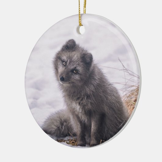 Foto Fox Gray Snow Keramisch Ornament (Links)