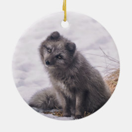 Foto Fox Gray Snow Keramisch Ornament