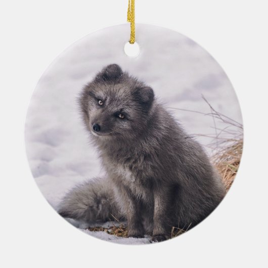 Foto Fox Gray Snow Keramisch Ornament (Achterkant)