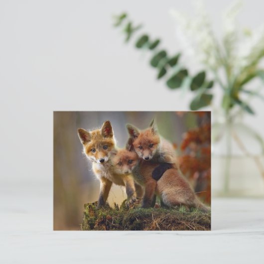 Foto Fox Kits Briefkaart (Staand voorkant)