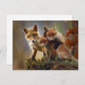 Foto Fox Kits Briefkaart (Voorkant / Achterkant)