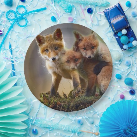 Foto Fox Kits Papieren Bordje (Feest)