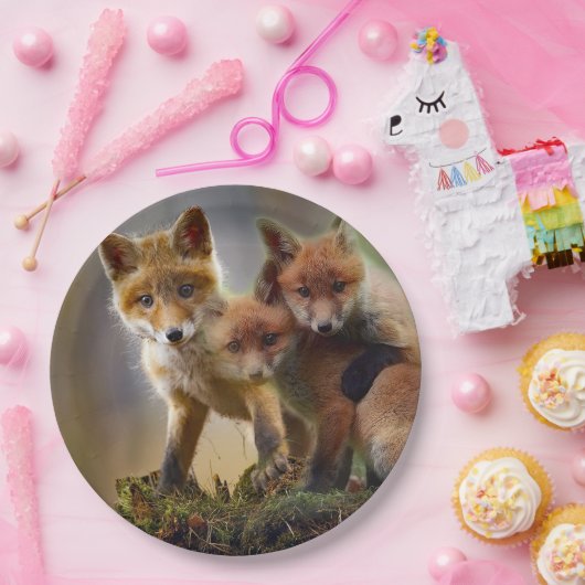 Foto Fox Kits Papieren Bordje (Feest)
