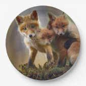 Foto Fox Kits Papieren Bordje (Voorkant)