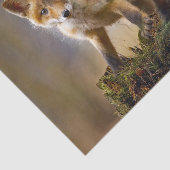 Foto Fox Kits Tissuepapier (Detail)