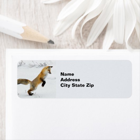 Foto Fox Leaping Snow Etiket (Insitu)