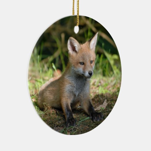Foto Fox Wildlife Keramisch Ornament (Rechts)