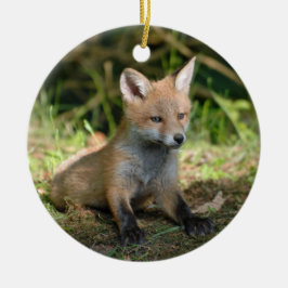 Foto Fox Wildlife Keramisch Ornament