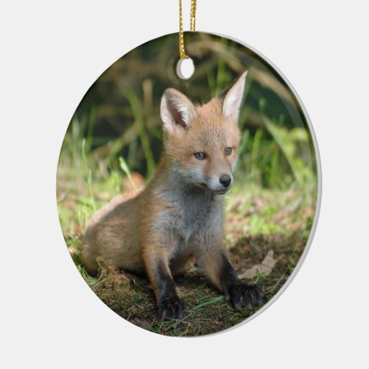 Foto Fox Wildlife Keramisch Ornament (Links)