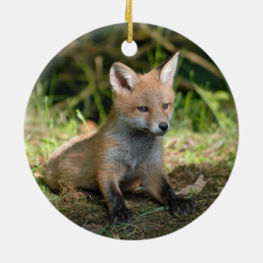 Foto Fox Wildlife Keramisch Ornament (Achterkant)