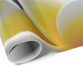 Foto Frangipani Plumeria Flower Cadeaupapier (Rol Hoek)