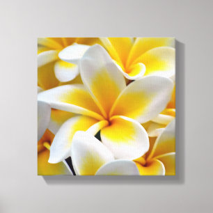 Foto Frangipani Plumeria Flower Canvas Afdruk