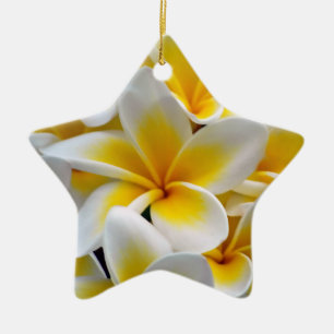 Foto Frangipani Plumeria Flower Keramisch Ornament