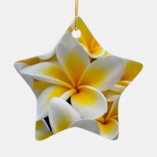 Foto Frangipani Plumeria Flower Keramisch Ornament