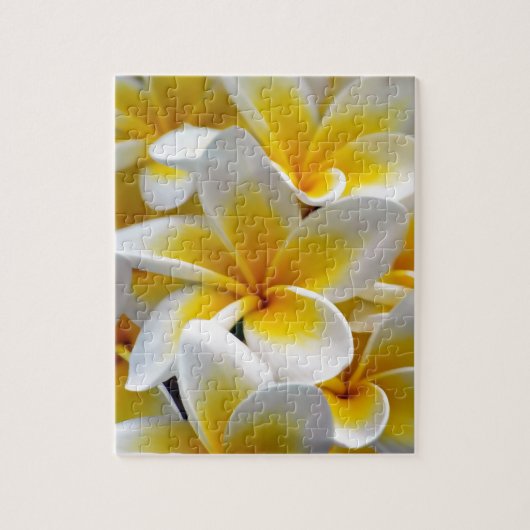 Foto Frangipani Plumeria Flower Legpuzzel (Verticaal)