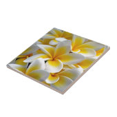 Foto Frangipani Plumeria Flower Tegeltje (Zijkant)