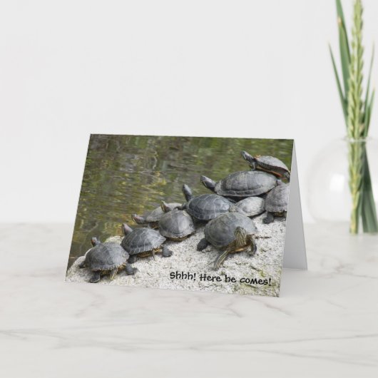 Foto Funny Birthday Group of Turtles Kaart (Voorkant)