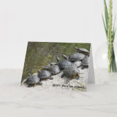 Foto Funny Birthday Group of Turtles Kaart (Voorkant)