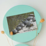 Foto Funny Birthday Group of Turtles Kaart<br><div class="desc">Een grappige verjaardagskaart voor alles dat een foto-afbeelding van schildpaddenstoelen die op een steen in een vijver zwemmen,  bevat. Selecteer uit steen of glanzende stijlkaart.</div>
