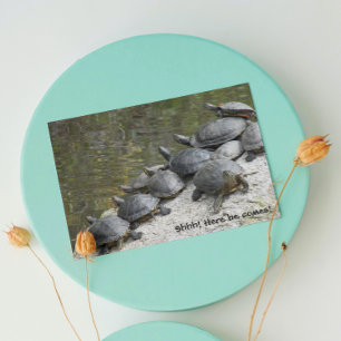 Foto Funny Birthday Group of Turtles Kaart